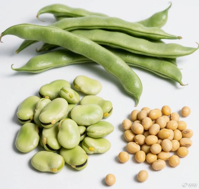 立夏前多吃这3种豆类，补蛋白强免疫，孩子老人都需要