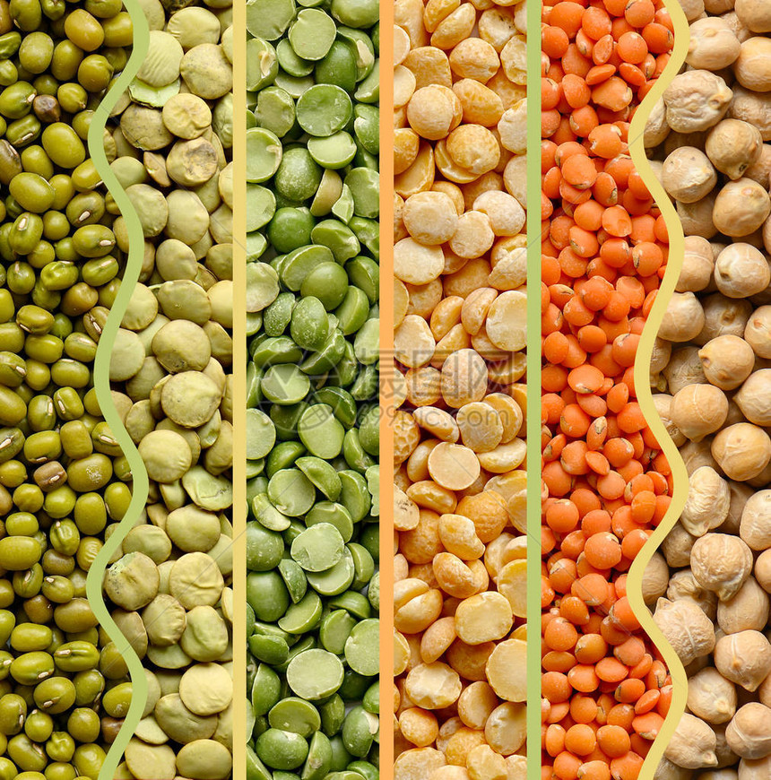 豆类的世界 从常见豆子到营养扁豆，探索豆类的多样魅力