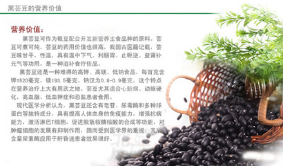 黑芸豆的绿色力量 从吉林农田到健康餐桌的产业链之旅