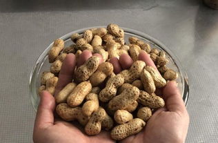 花生应该生吃还是熟吃？到底哪种更健康，今天告诉你正确的吃法